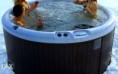 /album/spas/a830160727-1-644x461-jacuzzi-hidromassagem-spa-novo-4-5-pessoas-cascais-piscinas-e-spas-cascais-rev005-jpg/